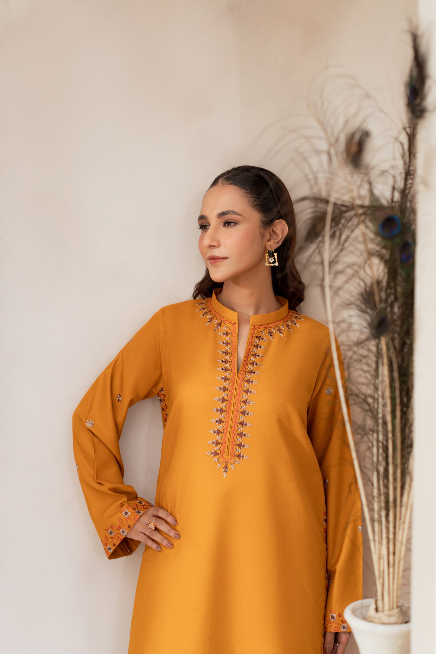 Naaz Embroidered Suit - 2 pc