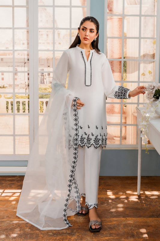 White Embroidered Suit - 2pc/3pc